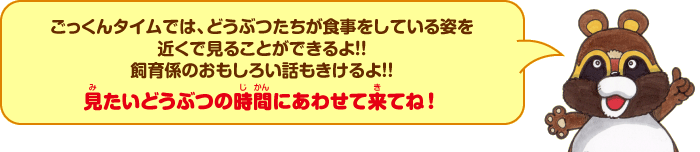 ごっくんタイムでは、どうぶつたちが食事をしている姿を近くで見ることができます